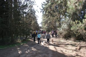 מטיילים ביער בן שמן (צילום: עמותת חבל מודיעין)