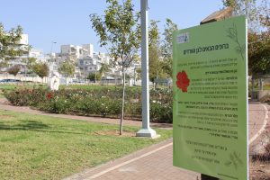 גן הוורדים במודיעין (צילום: דוברות עיריית מודיעין מכבים רעות)