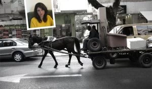 ליאת בכרך, אלטעזכן (צילומים: תומר אפלבאום, פרטי)