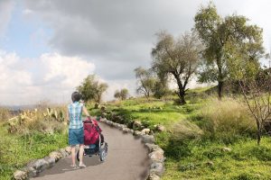 גבעת התיתורה (הדמיה: באדיבות ליגמ)