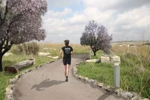 גבעת התיתורה (הדמיה: באדיבות ליגמ)