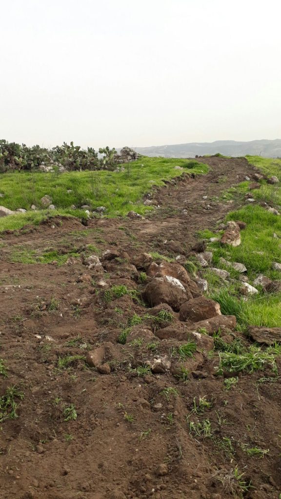 העבודות בגבעת התיתורה, השבוע (צילום: דוברות עיריית מודיעין מכבים רעות)