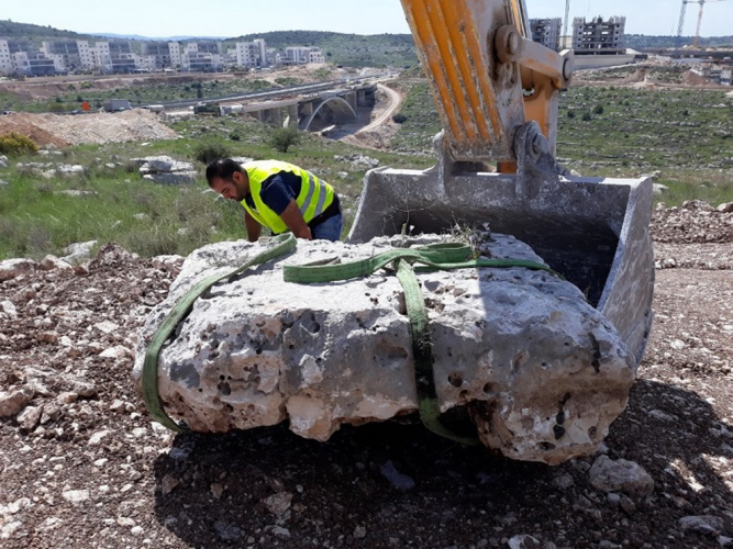 העתקת גיאופיטים בשטח שכונת מורשת החדשה במודיעין (צילום: דובורת עיריית מודיעין מכבים רעות)