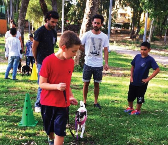 סדנת אילוף כלבים (צילום: דוברות עיריית מודיעין מכבים רעות)