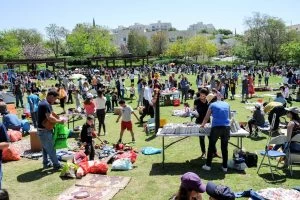 יריד הפשפשוק במודיעין (צילום: חורחה נובומינסקי)