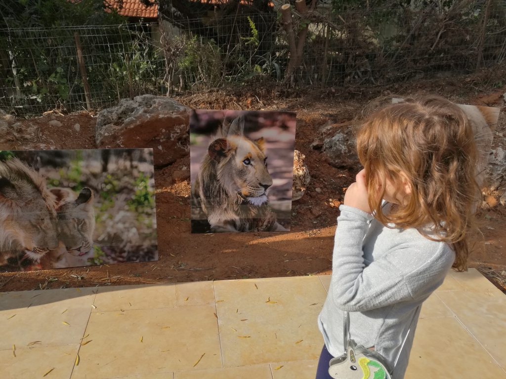 פסטיבל בית פתוח במודיעין (צילום: דוברות עיריית מודיעין מכבים רעות)