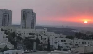 שכונת הכרמים מודיעין (צילום: מיכל לייבה)
