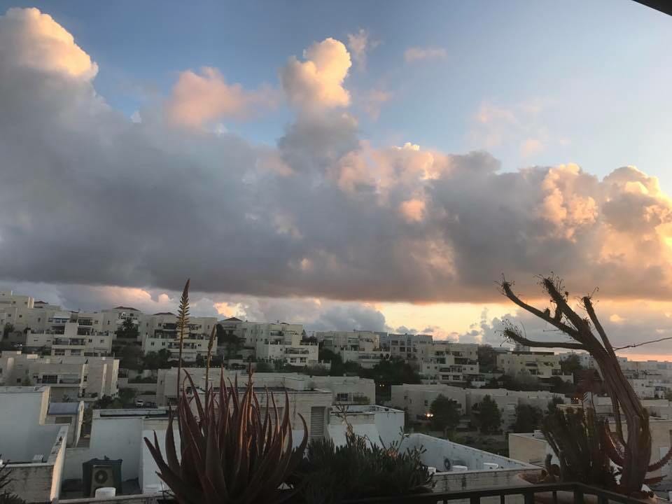 שכונת הכרמים מודיעין (צילום: מיכל לייבה)