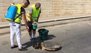 הדברה במודיעין (צילום: דוברות עיריית מודיעין מכבים רעות)