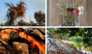 מתוך התערוכות "בניחוח פריז" ו"מחול האש" (צילומים: יואל תמנליס, שרה גולד, האמנית אתי יעקבי)