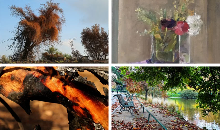 מתוך התערוכות "בניחוח פריז" ו"מחול האש" (צילומים: יואל תמנליס, שרה גולד, האמנית אתי יעקבי)