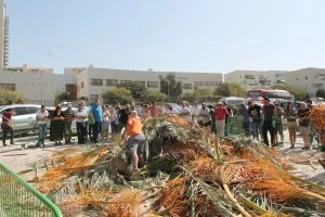 חלוקת סכך לתושבים (צילום: דוברות עיריית מודיעין מכבים רעות)