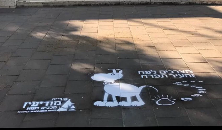 חותמת על המדרכה (צילום: דוברות עיריית מודיעין מכבים רעות)