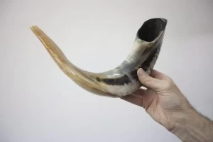 שופר (צילום: מוטי מילרוד)