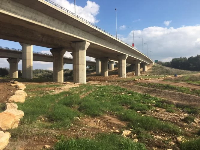 נטיעת עצים בנחל ענבה (צילום: דוברות עיריית מודיעין מכבים רעות)