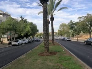 כביש דם המכבים (צילום: דוברות עיריית מודיעין מכבים רעות)