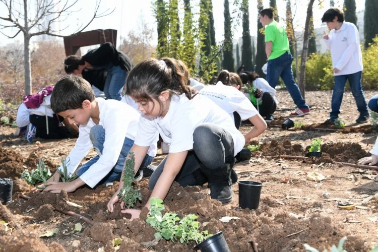 ט"ו בשבט במודיעין (צילום: באדיבות עיריית מודיעין מכבים רעות)