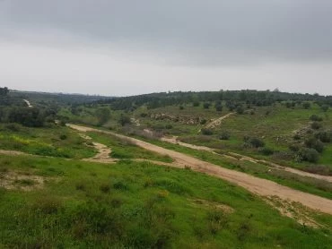 ואדי ענבה (צילום: דוברות עיריית מודיעין מכבים רעות)
