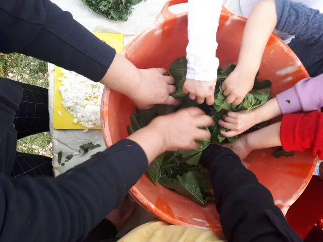 פיקניק עודפים לציון יום צמצום בזבוז מזון במודיעין (צילום: דוברות עיריית מודיעין מכבים רעות)