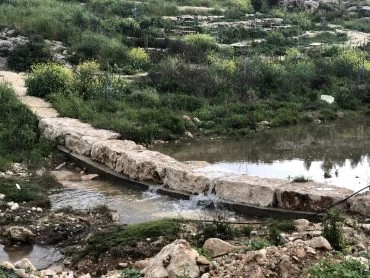 ואדי ענבה (צילום: דוברות עיריית מודיעין מכבים רעות)