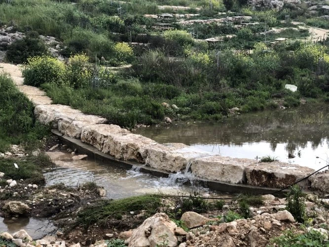 ואדי ענבה (צילום: דוברות עיריית מודיעין מכבים רעות)