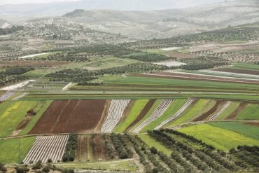 פארק עדולם (צילום: יוסי זמיר, מערך ההסברה של קק"ל)