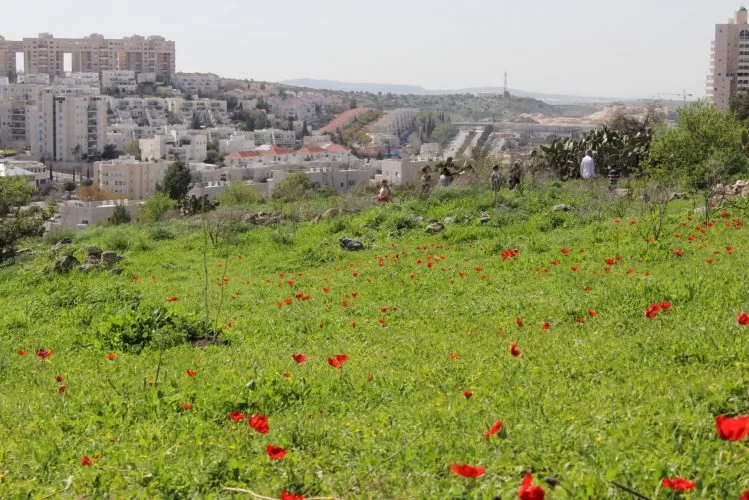 חוגגים אביב בגבעת התיתורה (צילום: דוברות עיריית מודיעין מכבים רעות)