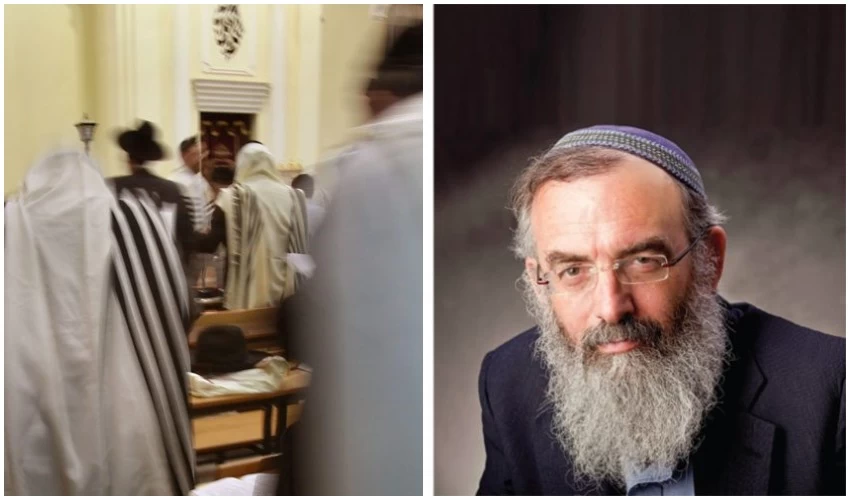 הרב דוד סתיו, בית כנסת (צילומים: יח"צ, גיל מגן-כהן)