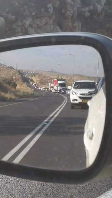 כביש 446 (צילום: עינב לוין בנימין)
