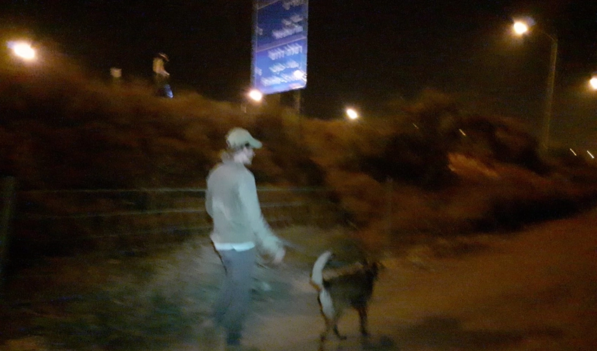 חיפושים אחרי רוכבת אופנוע סמוך לכביש 431 - הלילה (צילום: דוברות יכ"ל)