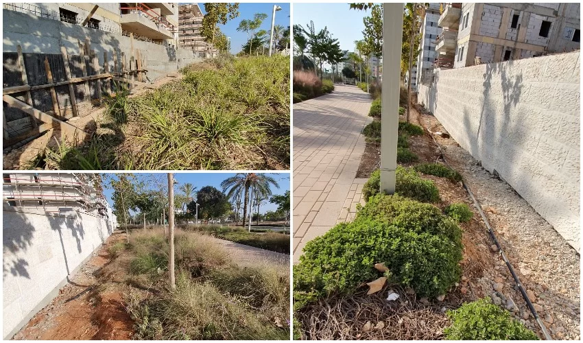 שדרות החשמונאים (צילומים: אלי גל)