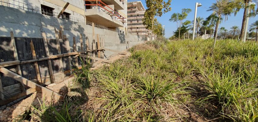 שדרות החשמונאים (צילומים: אלי גל)
