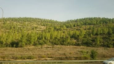 רכס משלטים (צילום: בן סימנובסקי)