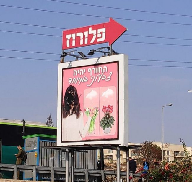 שלט הפרסום שבו הושחתה דמות האישה (צילום:פלורוז)