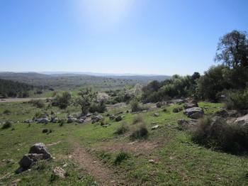 תצפית על המסדרון האקולוגי באזור רגב וחרובה (צילום: טלי קדמי)