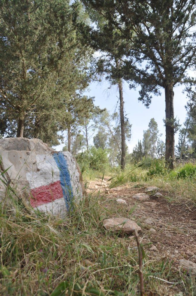 בקעת הנזירים (צילום: טלי קדמי, החברה להגנת הטבע)