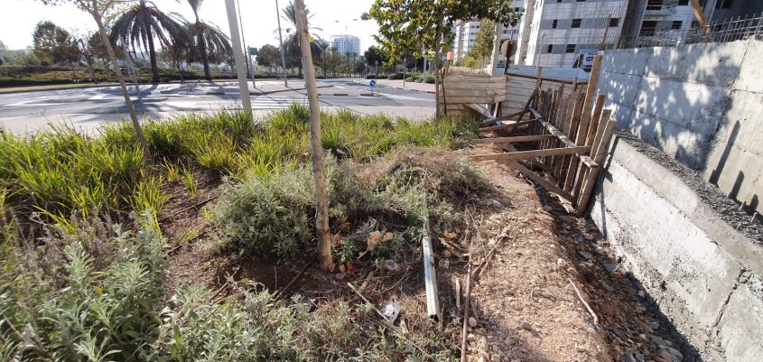 שדרות החשמונאים (צילומים: אלי גל)