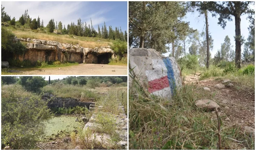 מסלול בקעת הנזירים (צילומים: טלי קדמי, החברה להגנת הטבע)