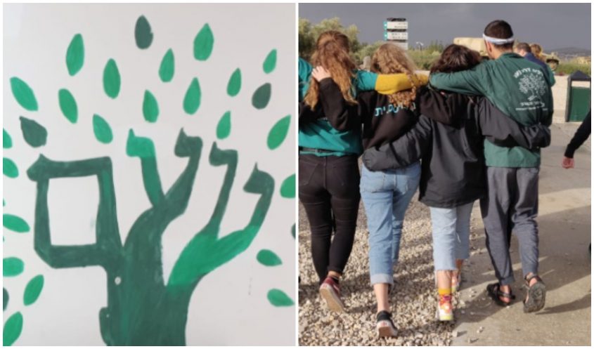 תנועת הנוער נוע"ם (צילום: דוד עז)