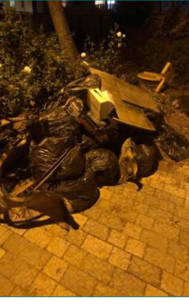 אשפה במודיעין (צילום: פרטי)