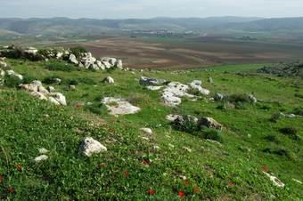 מבט לעמק איילון (צילום: ארכיון החברה להגנת הטבע)