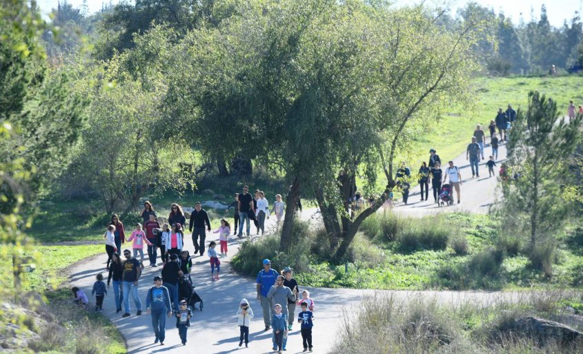 צעדת מודיעין 2018 (צילום: חורחה נובומינסקי)