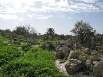 עתיקות בגבעות הדרומית (צילום: רותם זכאי)