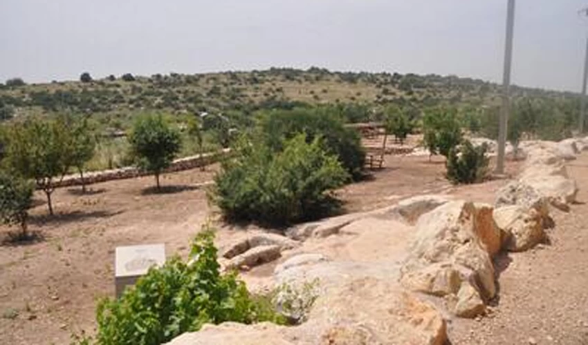 (צילום: טלי קדמי, החברה להגנת הטבע)
