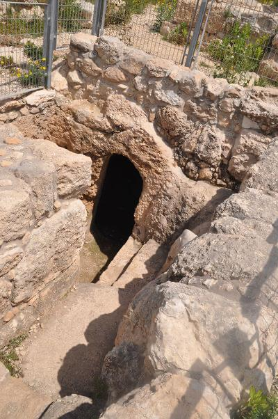 מדרגות הכניסה למקווה (צילום: טלי קדמי, החברה להגנת הטבע)