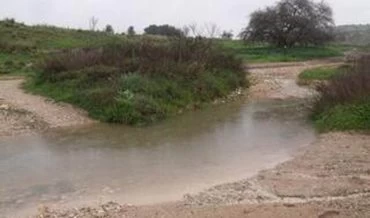 נחל ענבה (צילום: דקלה בן יעקב, החברה להגנת הטבע)
