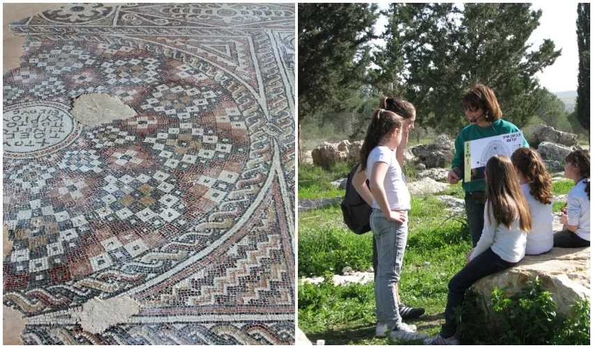 סיורים עם נאמני יער שוהם, פסיפס כנסית בכחוס הקדוש (צילומים: רוני קינדרמן, רועי ברפמן)