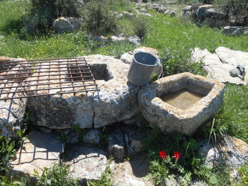 בור מים בגבעת שר (צילום: טלי קדמי, החברה להגנת הטבע)