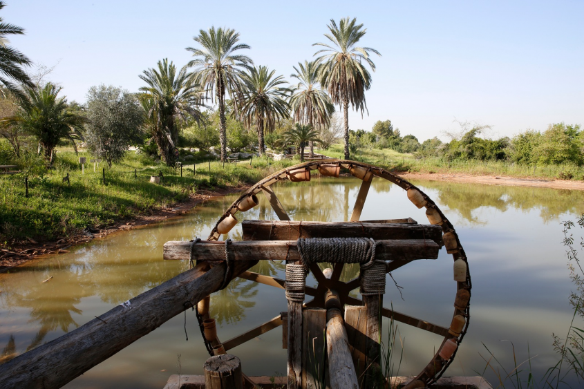 נאות קדומים (צילום: אלדד מאסטרו)