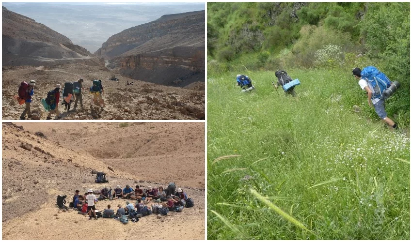 חוגי הסיירות של החברה להגנת הטבע (צילומים: מאיה פורת, נעם בן יעקב)